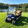 Carrito de golf de 4 plazas al por mayor con caja - EG2048H