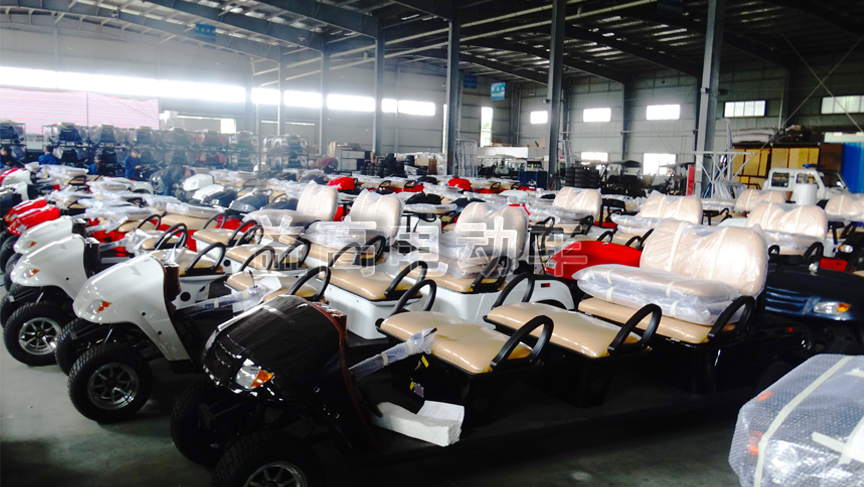 carrito de golf de 6 plazas