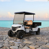 Buggy para carritos de golf utilitarios con caja de carga - EG204EHCX