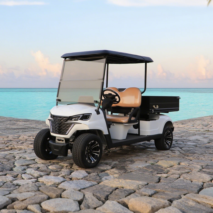 Buggy para carritos de golf utilitarios con caja de carga - EG204EHCX