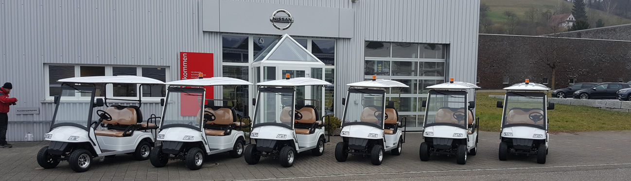 carros de golf de patrulla el&eacute;ctricos que funcionan con bater&iacute;as