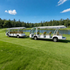 Coche eléctrico de autobús lanzadera del aeropuerto Lsv en venta - EG6158K