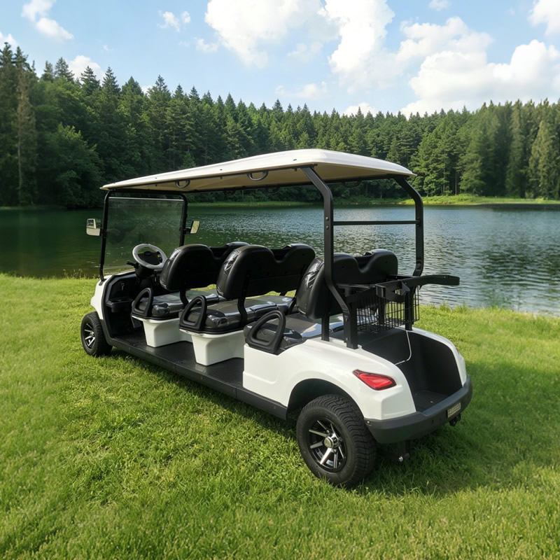 Precio de carritos de golf de 6 plazas al por mayor de importación - EG206EK