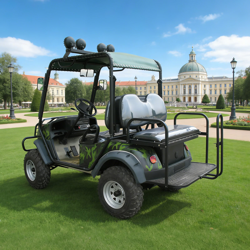 Carro de golf eléctrico de caza todoterreno 4x4 4wd Offroad - EG6020A4D