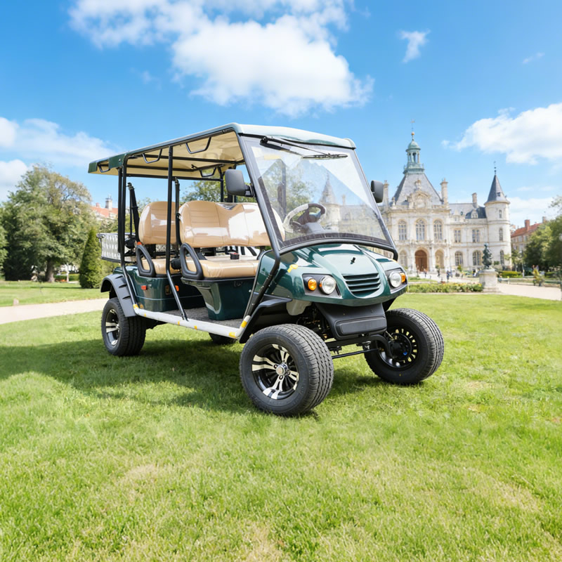 Vehículo con buggy de camión de carga con carrito de golf todoterreno de caza eléctrico personalizado con certificación de caja - EG2040ASZR