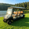Ocho carros de golf eléctricos con buggy de 8 plazas para pasajeros a la venta - EG206AKSZ