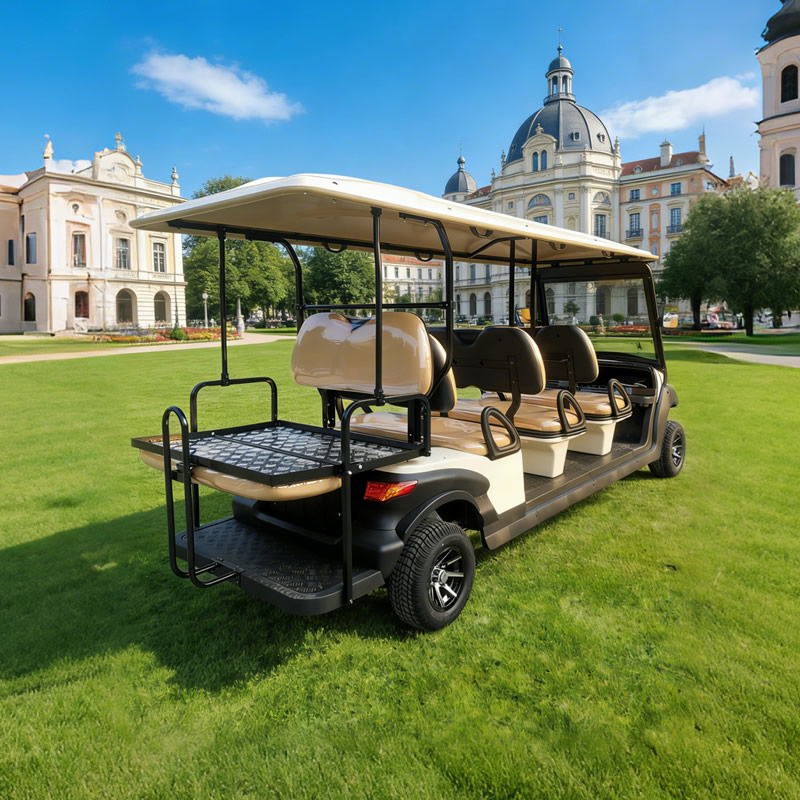 Ocho carros de golf eléctricos con buggy de 8 plazas para pasajeros a la venta - EG206AKSZ