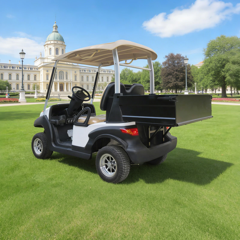 Fabricante de carritos de golf utilitarios personalizados con caja - EG202AH