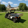 Carro de golf eléctrico con caja de carga para uso general a la venta - EG204AHCX