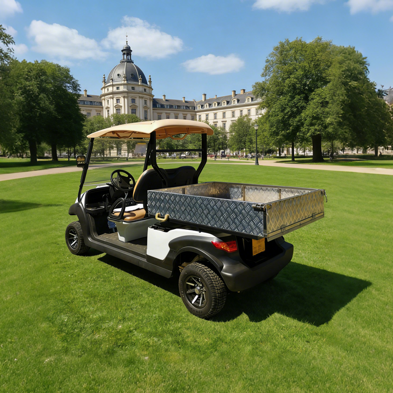Carro de golf eléctrico con caja de carga para uso general a la venta - EG204AHCX
