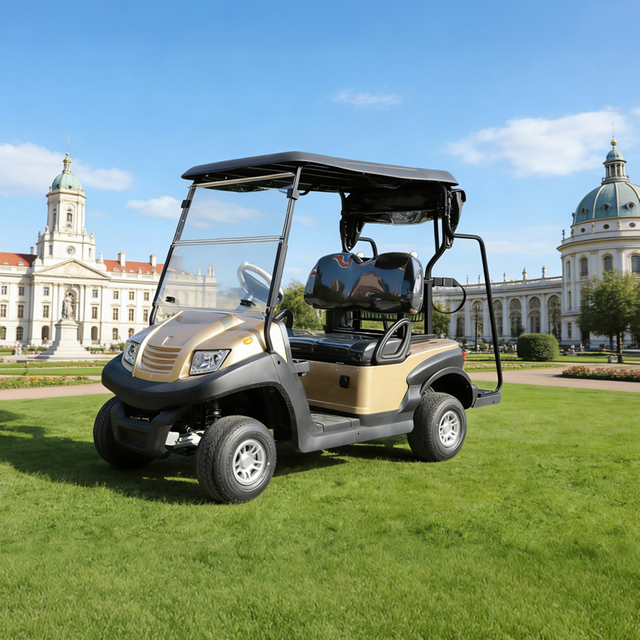 Precio de carrito de golf personalizado para un carrito de golf - EG202AKG