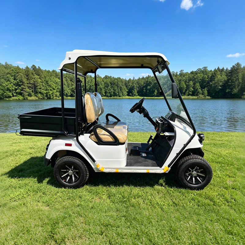Carro de golf eléctrico Mimi personalizado con buggy todoterreno con caja - 2028HR