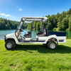 Carro de golf de caza de mini camioneta todoterreno todoterreno eléctrico 2wd de 72 V - EG6042A