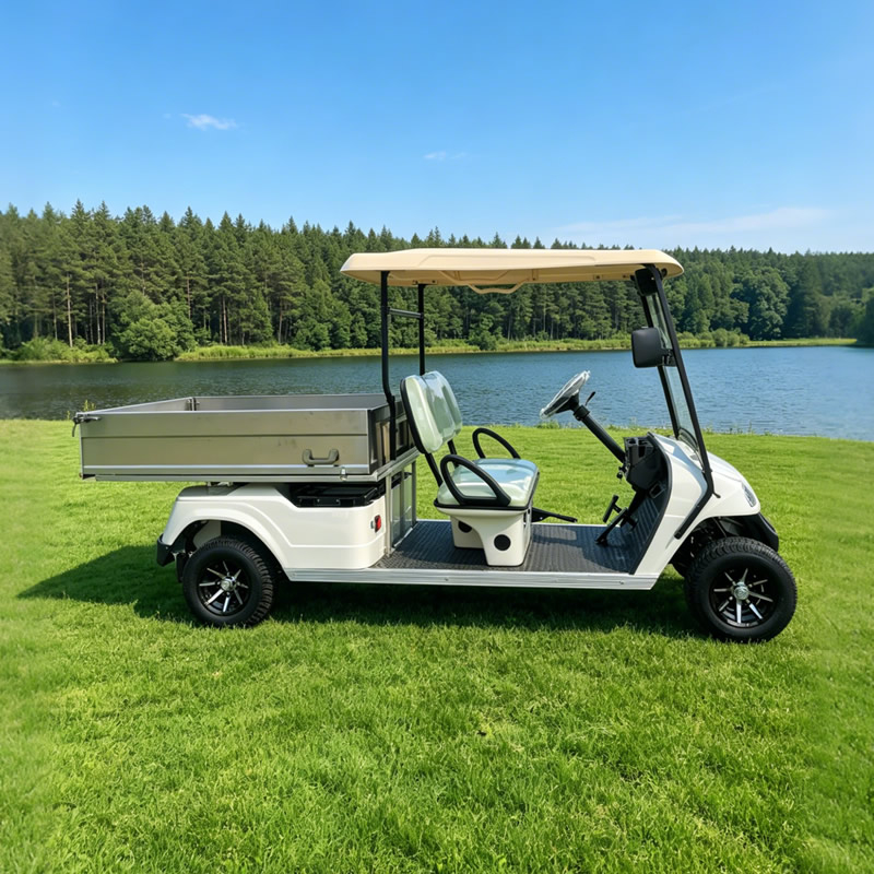 Carro de golf personalizado con plataforma volcadora de carga de acero inoxidable - EG2048HCX
