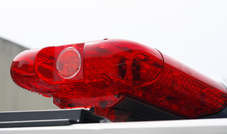 Carro de patrulla el&eacute;ctrico personalizado 