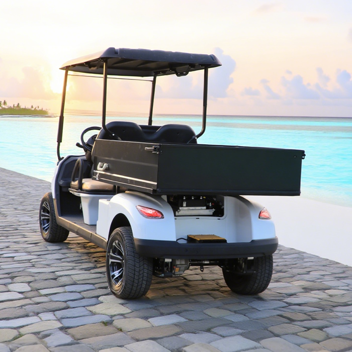Buggy para carritos de golf utilitarios con caja de carga - EG204EHCX
