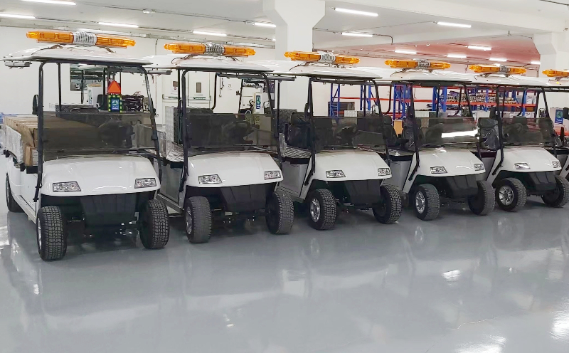 Carros de golf el&eacute;ctricos 