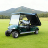 Precio de carrito de golf de empresa de fabricante personalizado con plataforma volcadora de carga - EG2048HCX