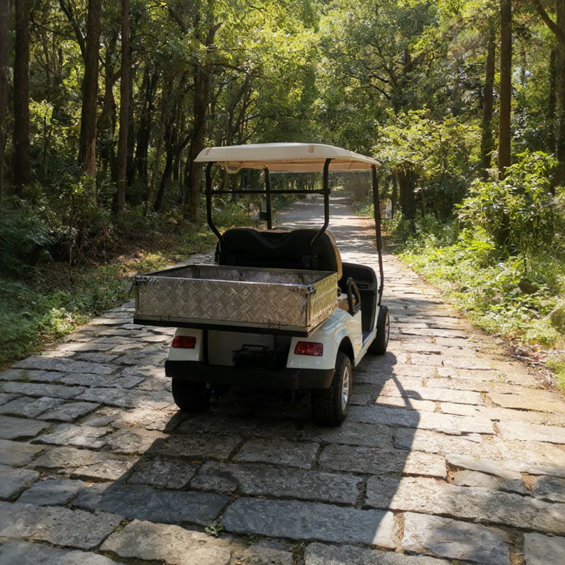 Carro de golf con caja de carga de aluminio - EG2028H