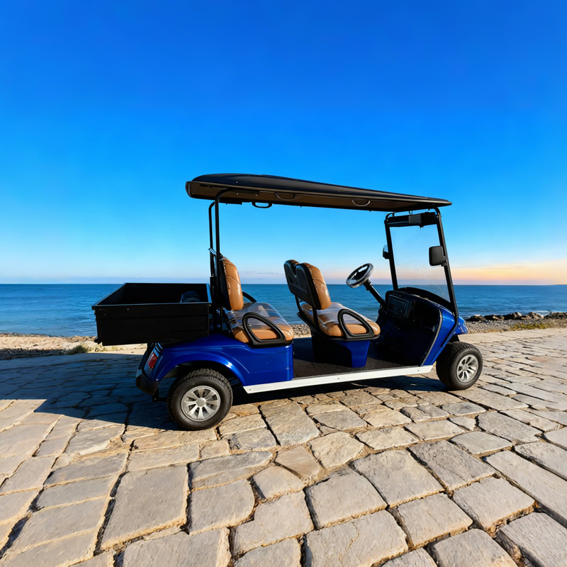 Carrito de golf de 4 plazas al por mayor con caja - EG2048H