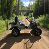 Buggy eléctrico todoterreno personalizado para vehículo utilitario de 4 plazas - EG2020ASZ
