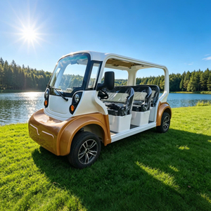  Fabricante de proveedores de automóviles de autobuses turísticos eléctricos de lujo de 8 plazas - EG608AK
