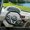 Mini camión de carga eléctrico de 4 ruedas | Fabricante de vehículos utilitarios eléctricos cerrados, camiones de transporte eléctricos comerciales - EG6023H