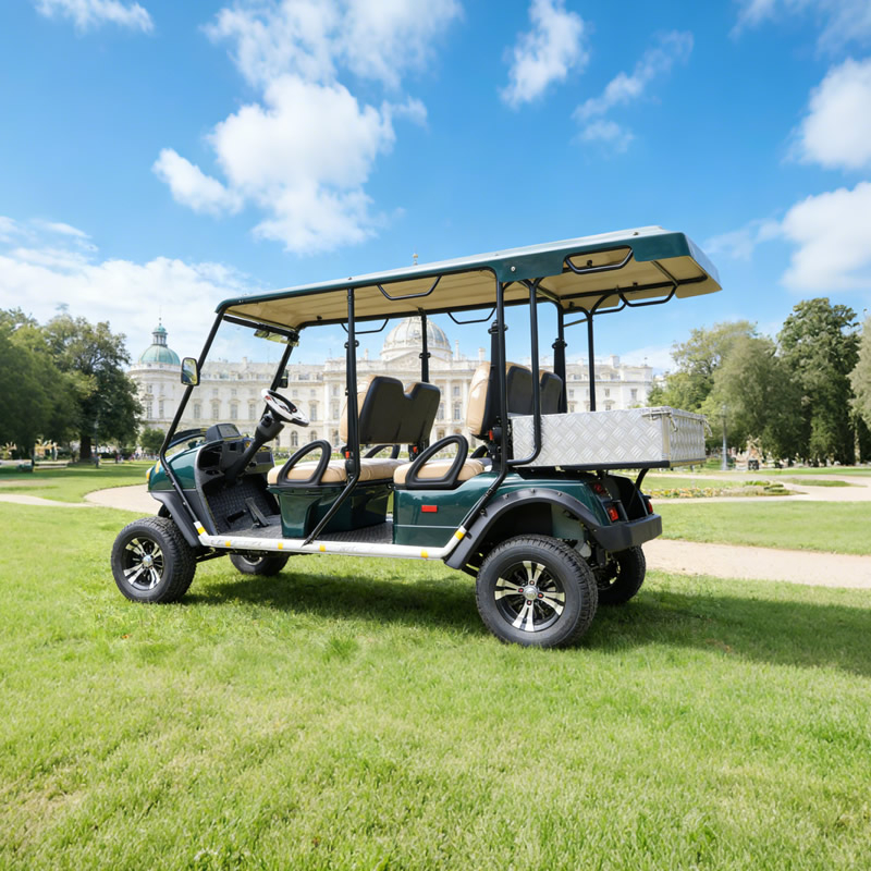 Vehículo con buggy de camión de carga con carrito de golf todoterreno de caza eléctrico personalizado con certificación de caja - EG2040ASZR