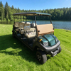 Carros Palos De Golf Electricos Nuevos Chinos Republica Dominicana Personalizados - EG206AK