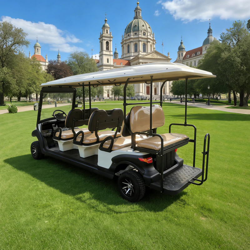 Ocho carros de golf eléctricos con buggy de 8 plazas para pasajeros a la venta - EG206AKSZ