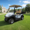 Fabricante de carritos de golf utilitarios personalizados con caja - EG202AH