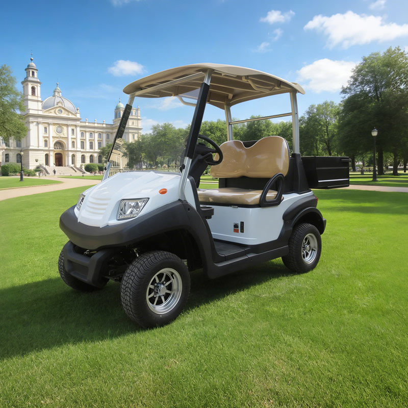 Fabricante de carritos de golf utilitarios personalizados con caja - EG202AH