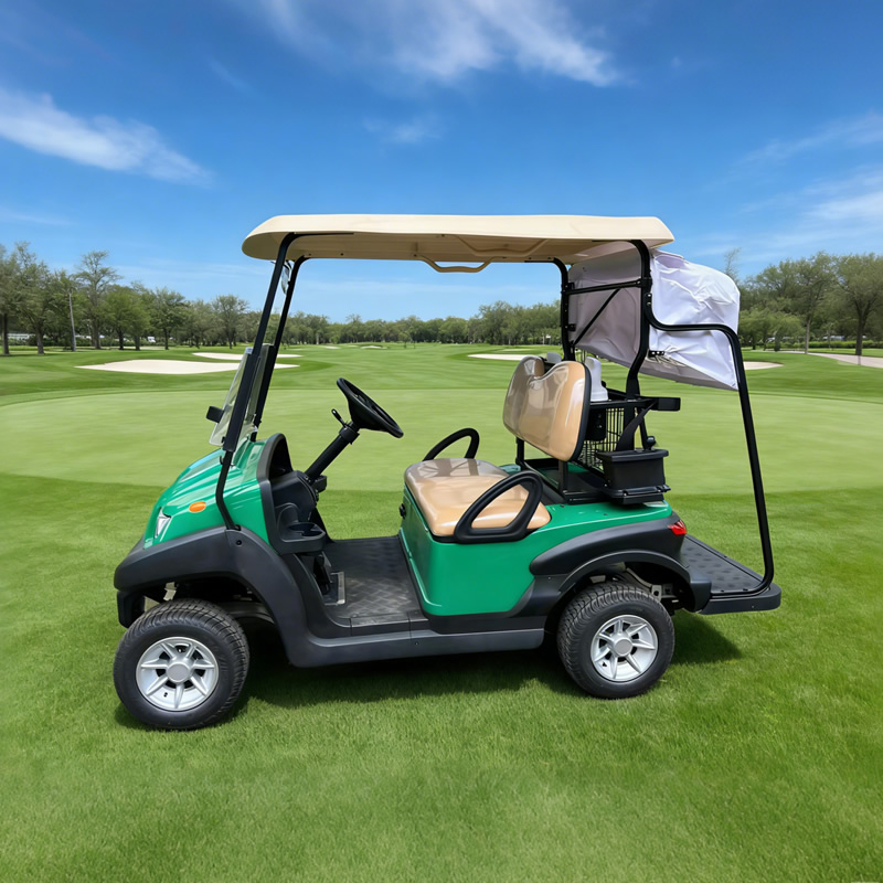 Precio de carrito de golf personalizado para un carrito de golf - EG202AKG
