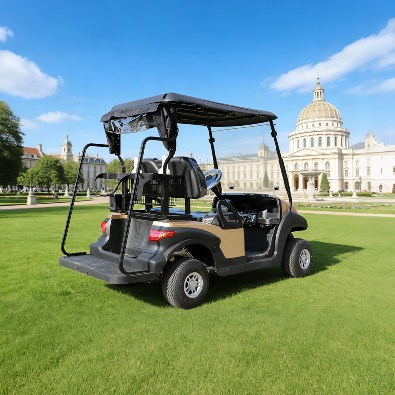 Precio de carrito de golf personalizado para un carrito de golf - EG202AKG