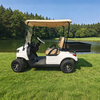 Mini carritos de golf eléctricos con plataforma volcadora de carga - EG202EH