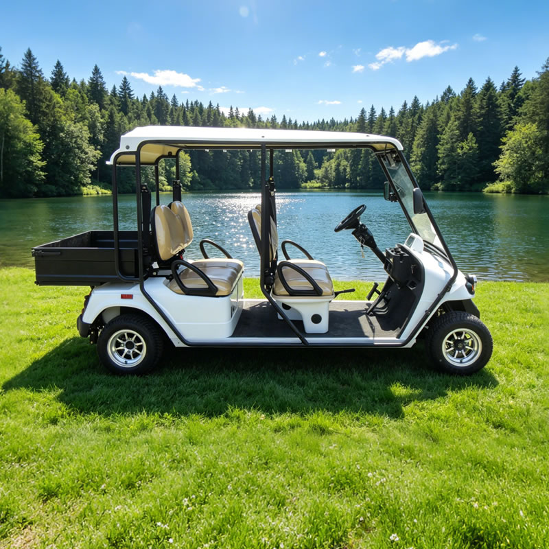 Mini camión de carga eléctrico Street Legal, carrito de golf Lsv con caja - EG2048HR