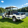 Carro de golf de caza de mini camioneta todoterreno todoterreno eléctrico 2wd de 72 V - EG6042A