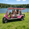 Coche turístico eléctrico rosa de lujo de 6 plazas para parques temáticos - EG2040ASZ