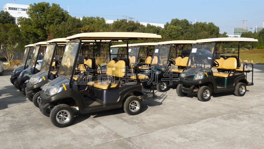 carrito de golf eagle de 4 plazas