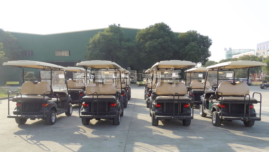 carrito de golf eagle de litio