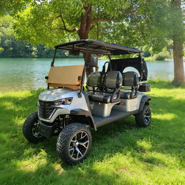 Parte trasera personalizada del fabricante de carritos de golf eléctricos de 4 plazas - EG204DK