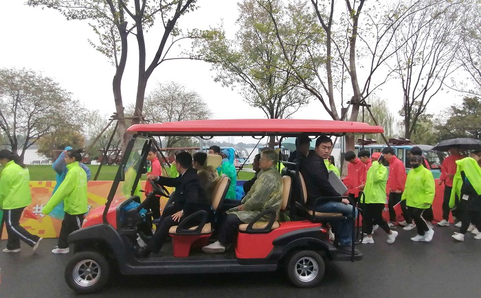 carrito de golf