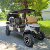Parte trasera personalizada del fabricante de carritos de golf eléctricos de 4 plazas - EG204DK