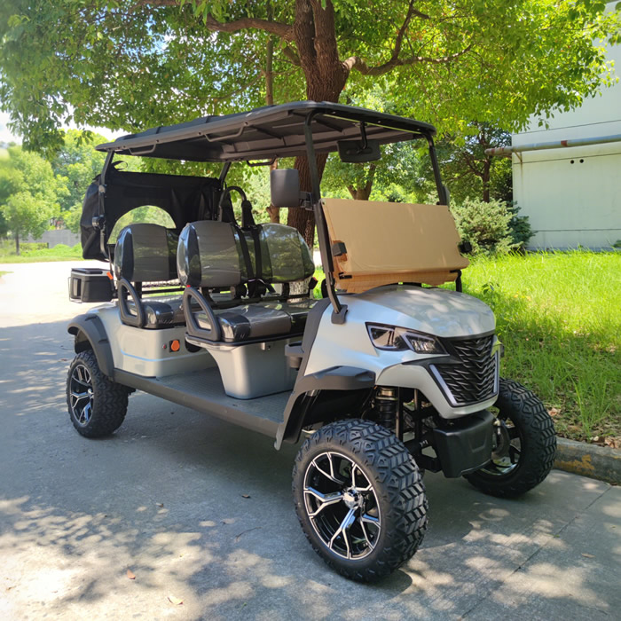 Parte trasera personalizada del fabricante de carritos de golf eléctricos de 4 plazas - EG204DK