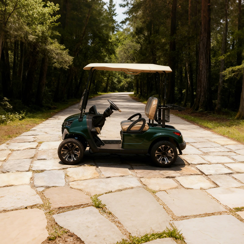 Mini carrito de golf eléctrico chino de 2 asientos - EG202EK