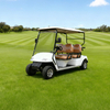Carro de golf eléctrico con batería de litio de alta calidad personalizado a la venta - EG2048K