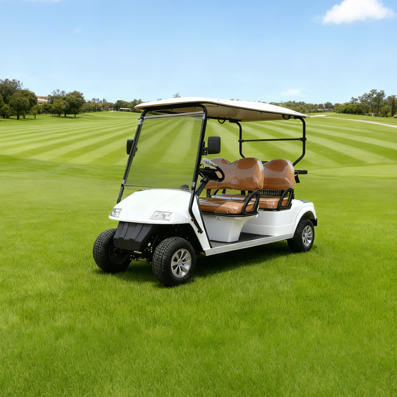Carro de golf eléctrico con batería de litio de alta calidad personalizado a la venta - EG2048K