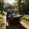 Buggy eléctrico todoterreno personalizado para vehículo utilitario de 4 plazas - EG2020ASZ