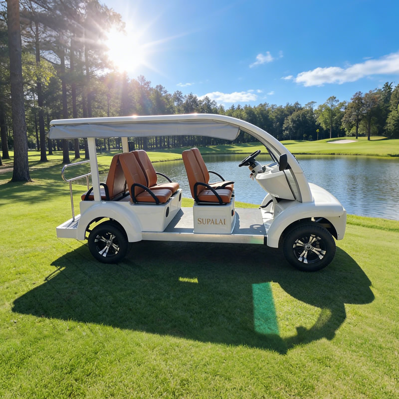 Carro de golf eléctrico de 6 plazas en venta - Proveedor de buggy de golf comercial de China - EG6063KA