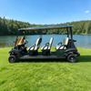 Carros Palos De Golf Electricos Nuevos Chinos Republica Dominicana Personalizados - EG206AK